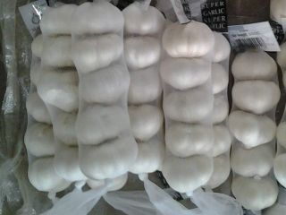 Tenemos ajos blancos puros a la venta