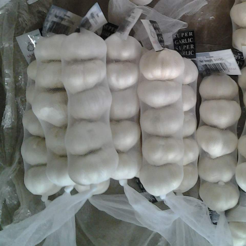Tenemos ajos blancos puros a la venta