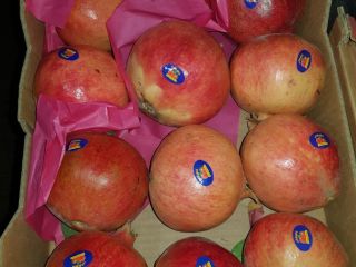A la venta directo del campo.