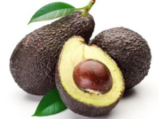 Exportamos principalmente aguacates como Hass y Fuerte. Póngase en