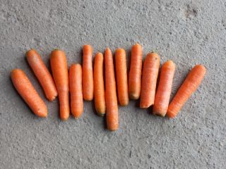 Venderé zanahorias enjuagadas puras, desperdicios de exportowej. A la