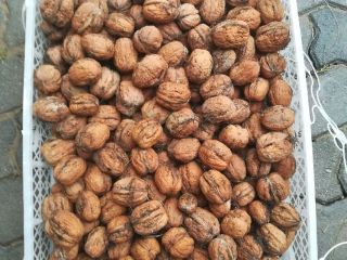 Jacks de nueces. Cultivo orgánico. Tengo unos 20 kg.