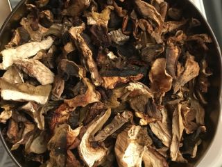 Venderé hongos porcini secos en una secadora eléctrica. Cosechado