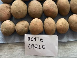 Vendemos papas rojas y amarillas. Cantidad mínima de pedido