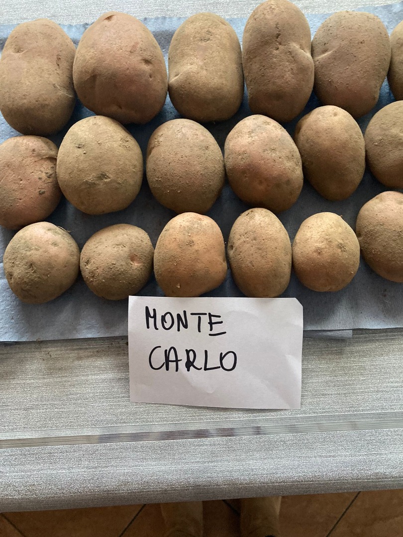 Vendemos papas rojas y amarillas