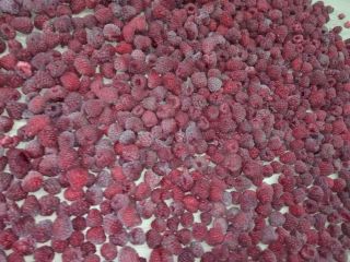 Venta de frambuesa de Vilamet Excelente calidad Envase 10-12