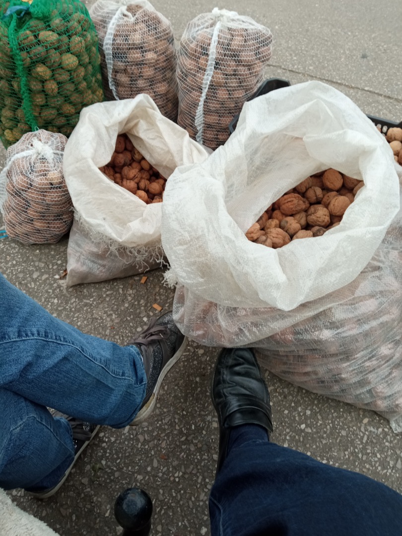 Venderé Nueces Jacek Świerże cáscara blanda de nuestra propia parcela ecológica Más información por teléfono