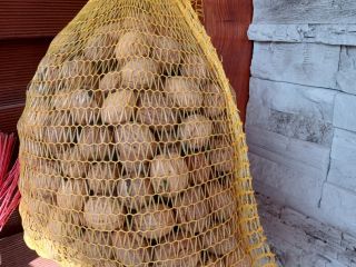 Venderé nueces frescas y secas de mi propia corte.
