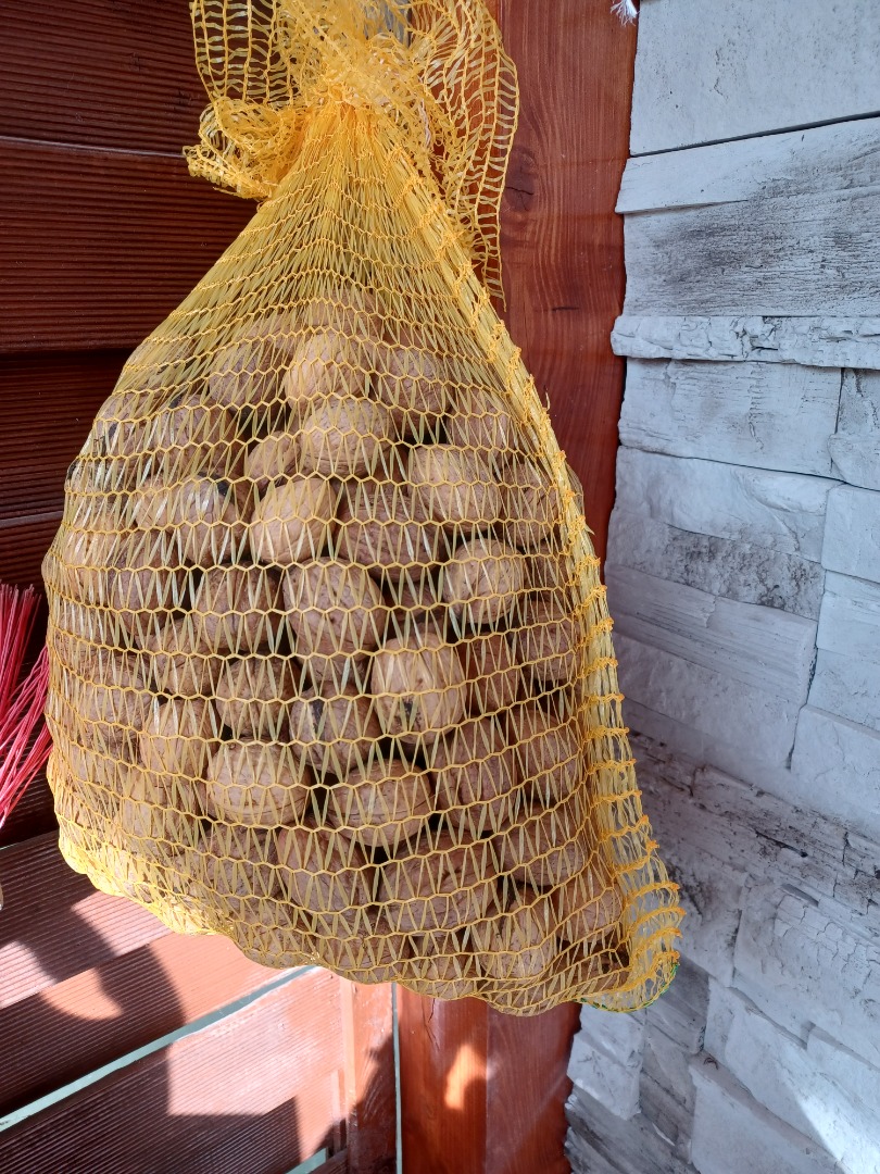 Venderé nueces frescas y secas de mi propia corte