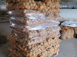 vendo papas vineta y bellarosa