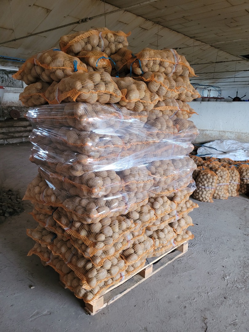 vendo papas vineta y bellarosa