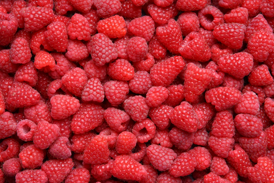Frambuesas de Vilamet, añada 2022, calidad extra, originales, envasadas en cajas de 10 kg