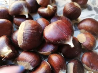 Castañas frescas de varios tamaños