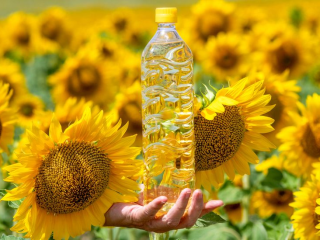 El aceite de girasol es el aceite no volátil