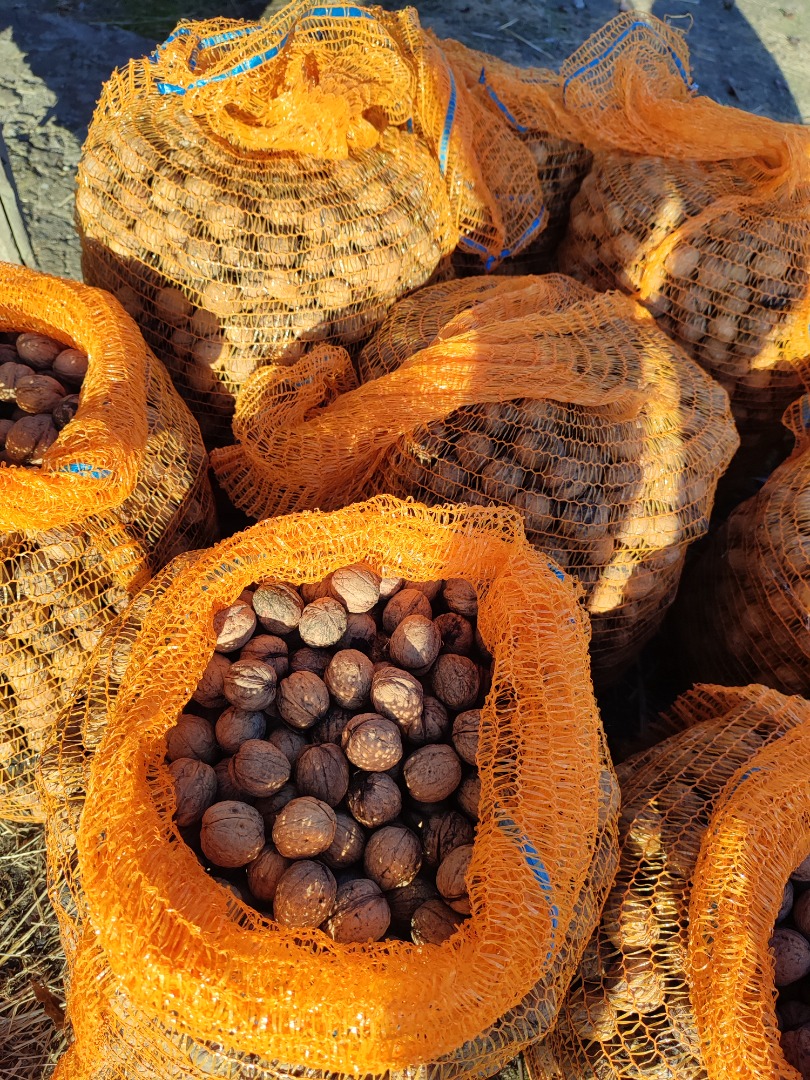 Venderé las nueces de este año