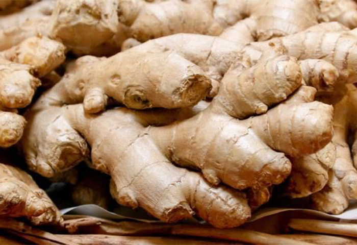 Estilo: Fresco Tipo: Jengibre Variedad: Jengibre viejo Tipo de cultivo: COMÚN Peso (kg): *0 Lugar de origen: Tailandia Marca: - Número de modelo: - Nombre del