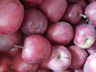 Venderé una manzana de la variedad jefe rojo. Fruta
