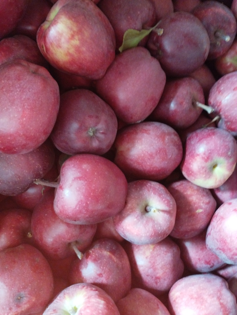 Venderé una manzana de la variedad jefe rojo