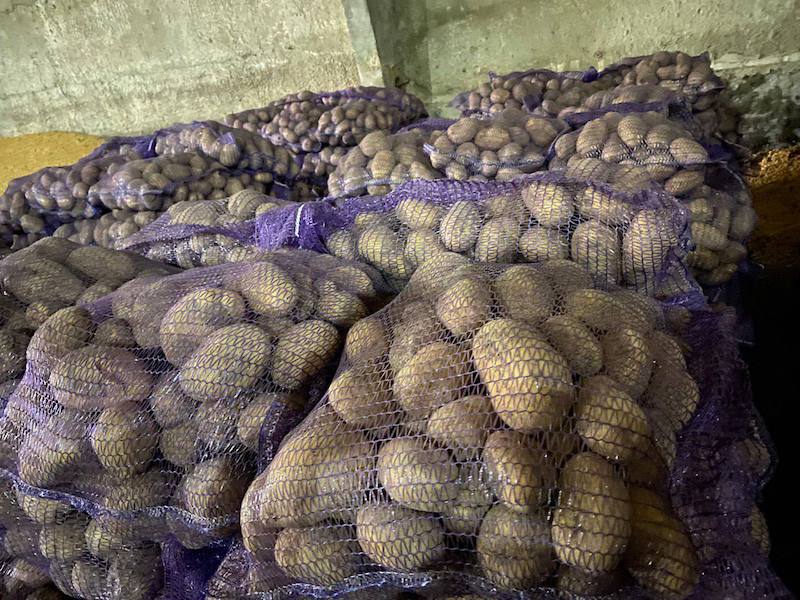 Vendemos patatas de siembra y patatas comerciales
