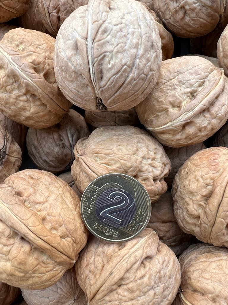 Venta de nueces