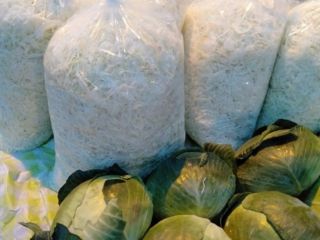 Venderé repollo rallado para encurtir. Triturado bajo pedidos. Una