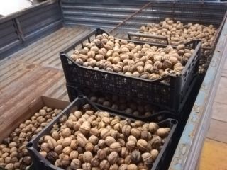 Frutos secos locales ecológicos seleccionados de primera elección.