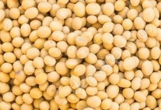 Soja transgénica para exportación desde Ucrania