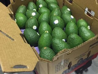 Ofrecemos a nuestros clientes lo mejor de nuestros productos
