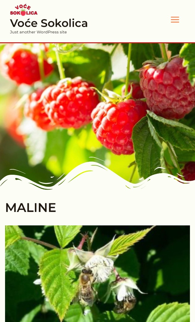 Estimado, somos un productor de raspberrys y penachos en serbia