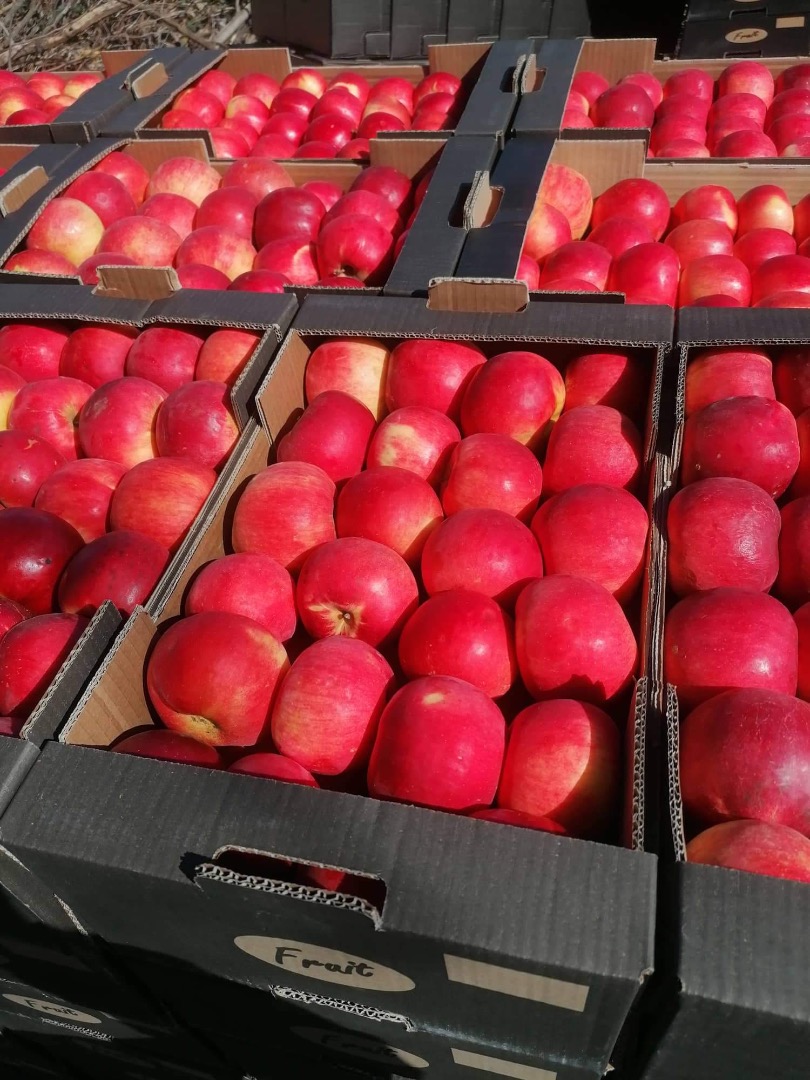 Idared de calidad extra de Macedonia talla 65+ 0,35 € el precio es negociable el embalaje es negociable número de