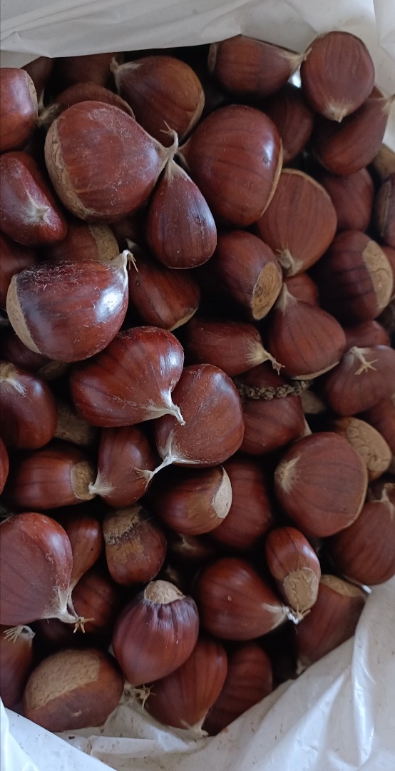 Muy dulces, castaña del Bierzo