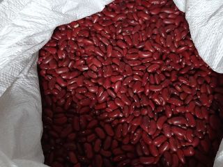 Hola, vendo frijoles rojos. Origen Polonia. Los frijoles son