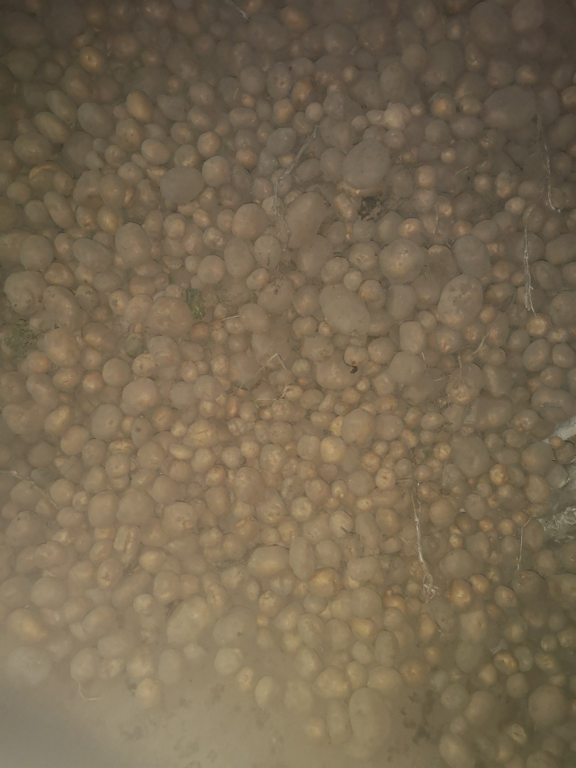 Vendo papas a la vineta empacadas en sacos de 15kg