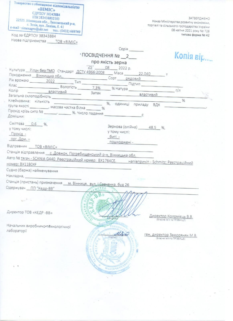 Violación 600 toneladas por semana en venta KODI TEAM Sp.zo.o