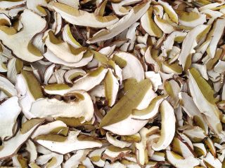 Vendo boletus secos, sanos.Posibilidad de envio.