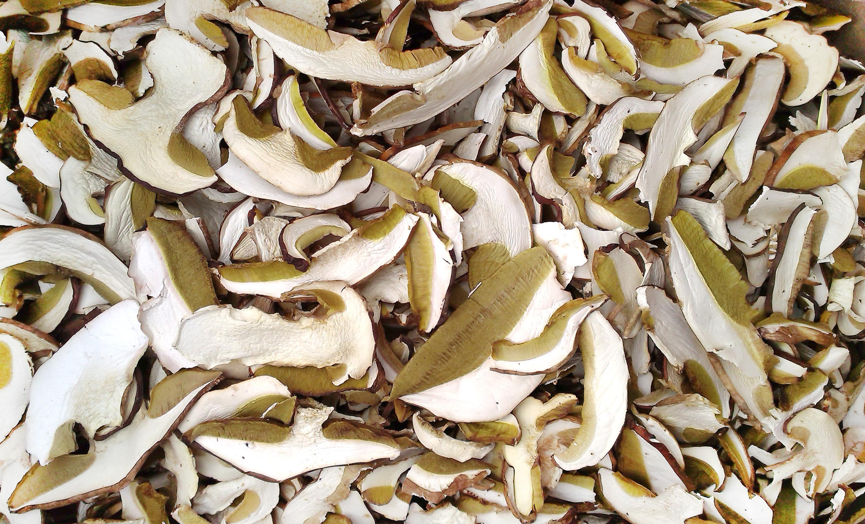 Vendo boletus secos, sanos.Posibilidad de envio