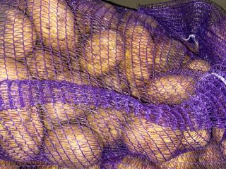 Vendemos patatas comerciales al por mayor, patatas de siembra.