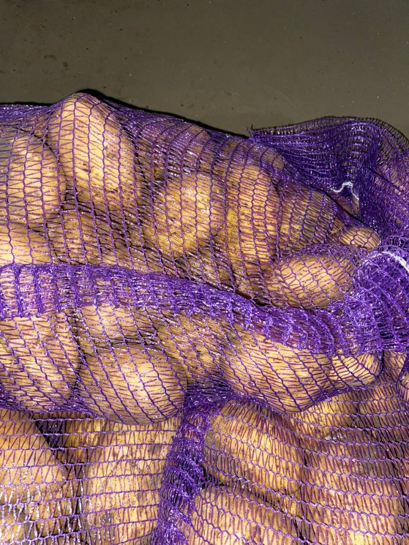 Vendemos patatas comerciales al por mayor, patatas de siembra