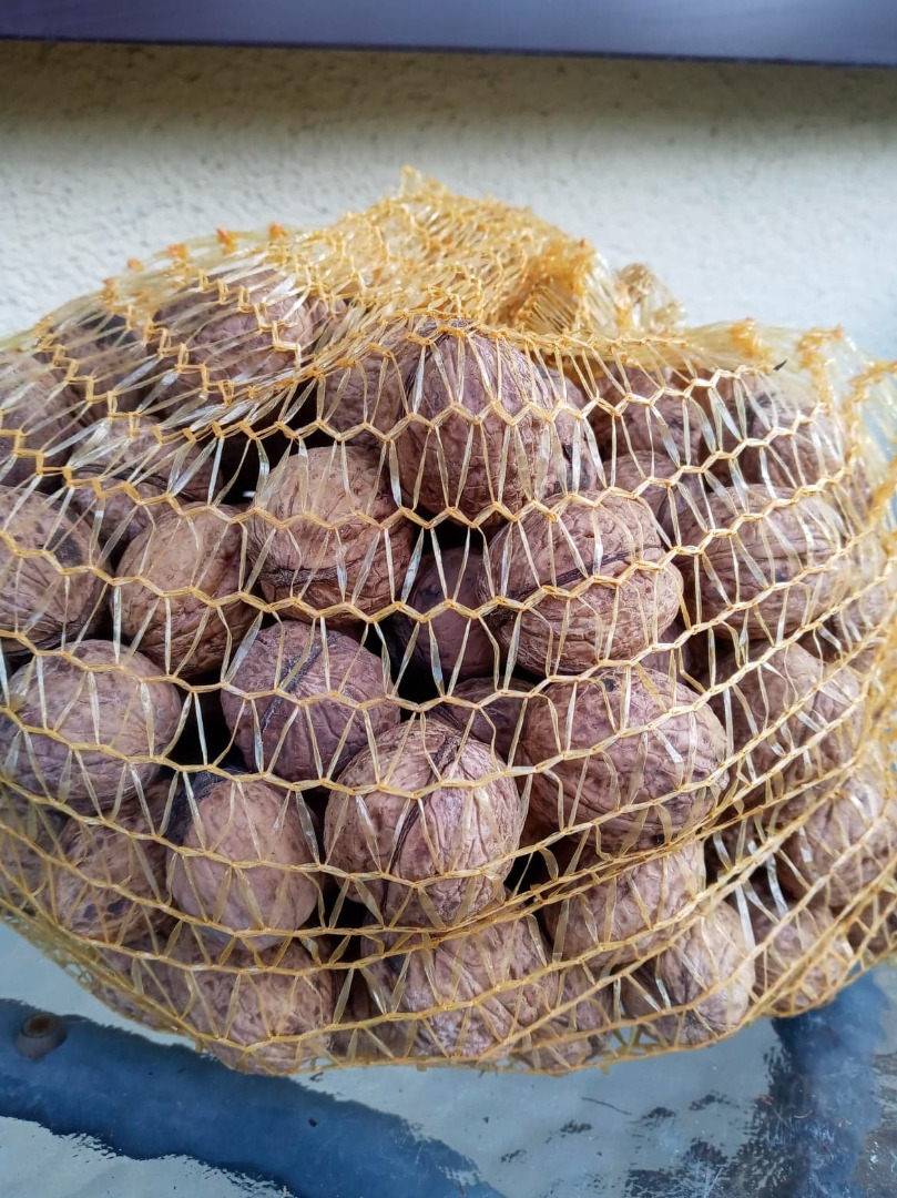 Venderé las nueces secas de este año en mi propio árbol