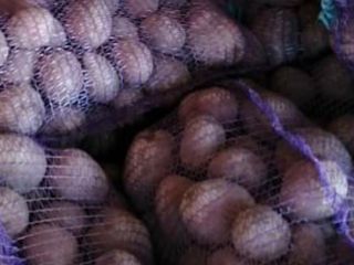 Venderé papas Bellarosa a granel. Invito a las personas