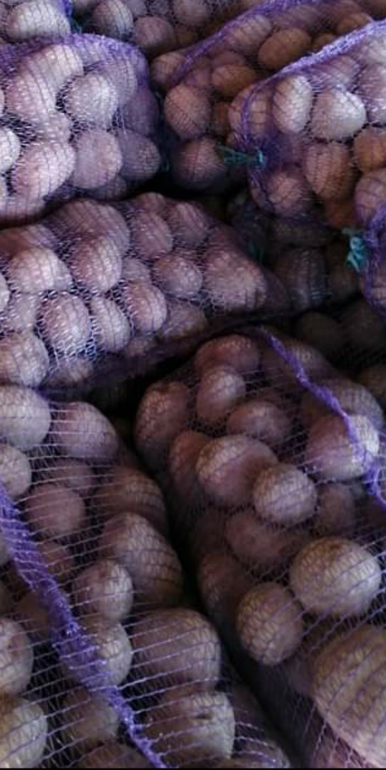 Venderé papas Bellarosa a granel