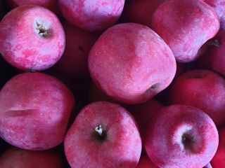 Vendo manzanas, variedades florina/idared, para consumo, recogidas a mano,