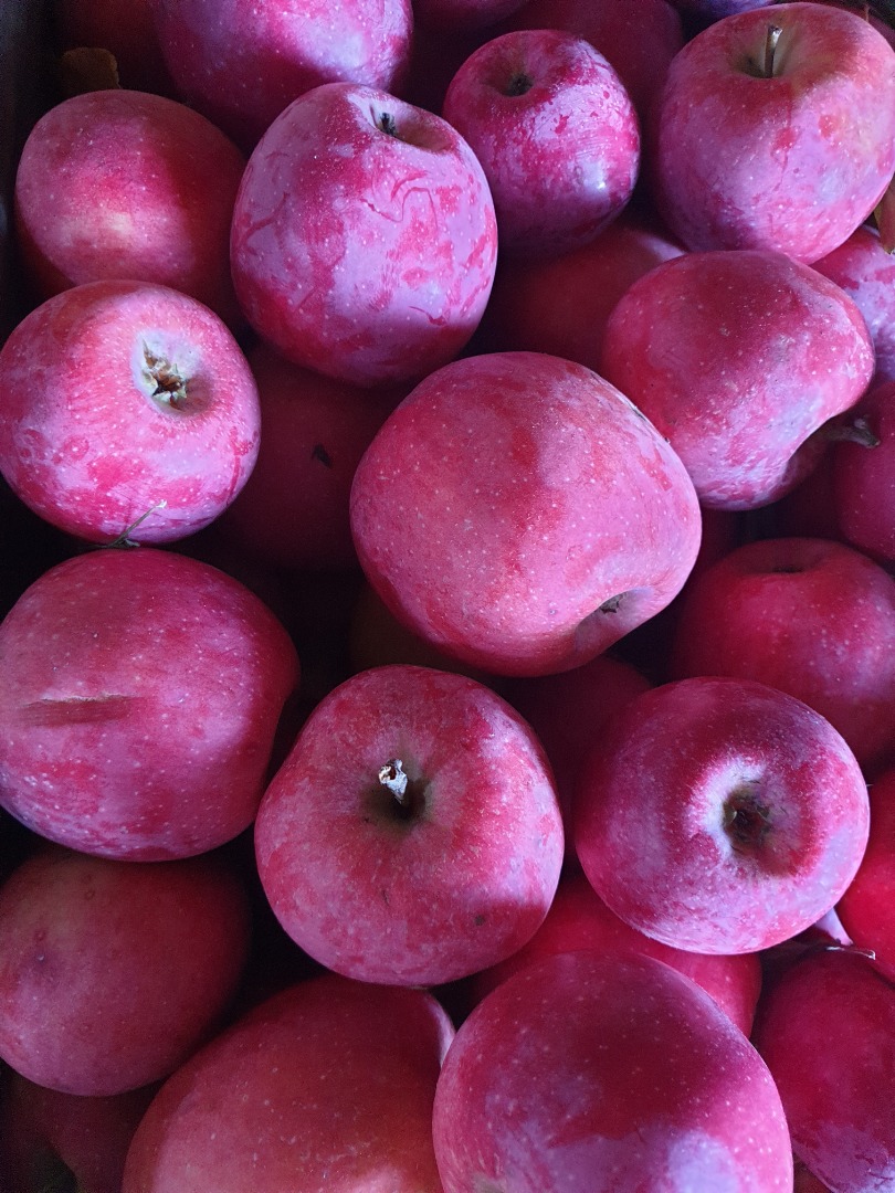 Vendo manzanas, variedades florina/idared, para consumo, recogidas a mano, a 0,4€/kg, para zumos el precio es de 0,2€/kg
