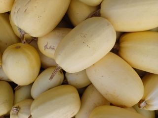 Venderé calabazas sin fertilizantes y fumigación. Tenemos Hokkaido, Bambino,