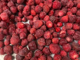 Fresas ultracongeladas producidas orgánicamente en Berkovitsa, Bulgaria. La variedad