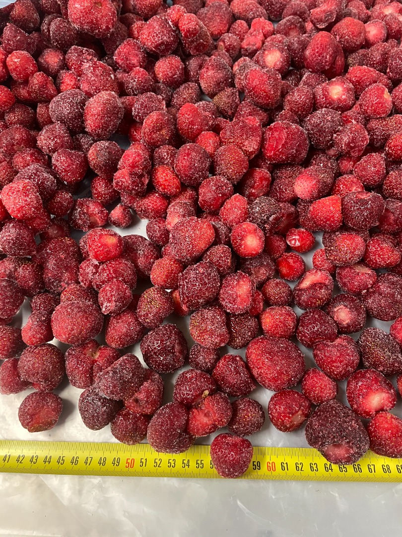 Fresas ultracongeladas producidas orgánicamente en Berkovitsa, Bulgaria