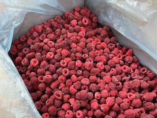 Frambuesas congeladas agitadas y producidas orgánicamente, producidas en Berkovitsa,