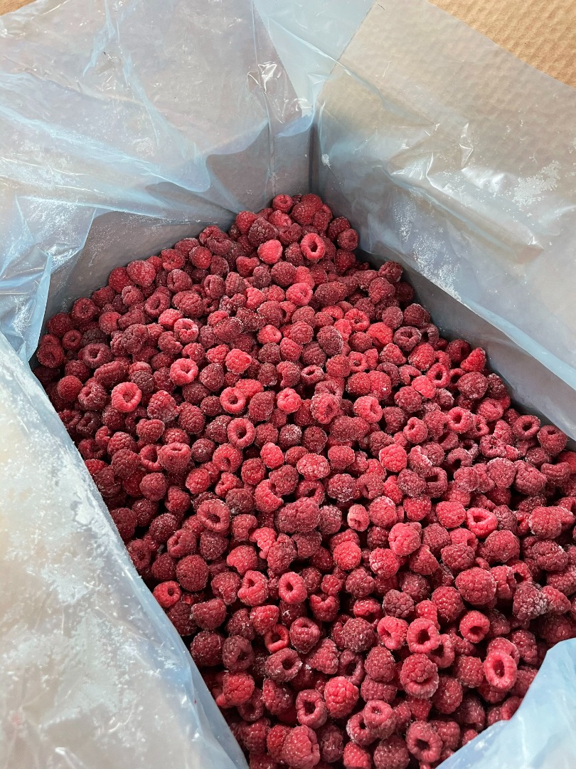 Frambuesas congeladas producidas orgánicamente y agitadas, producidas en Berkovitsa, Bulgaria