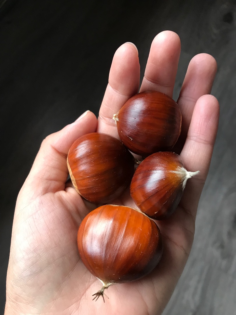 Ricas castañas del Bierzo, buena calidad y recien cogidas , exquisitas para comer
