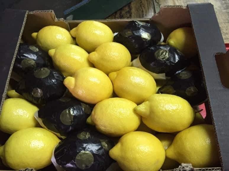 La empresa exporta limones y cítricos de Turquía